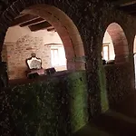 Ai Frati