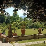 Ai Frati